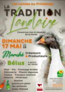 Marché de créateurs et producteurs à la Tradition Landaise