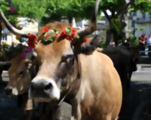 Balade derrière un troupeau pour la montée en Estive