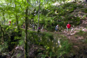 photo Randonnée pédestre autour de Mur-de-Barrez