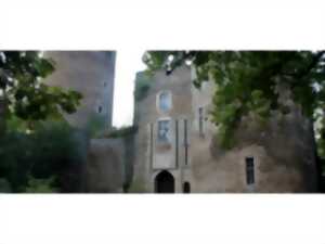photo Journées Européennes du Patrimoine Visite de Châteaubrun