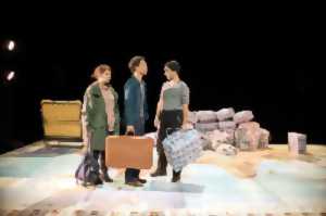 photo Théâtre : Le garçon à la valise