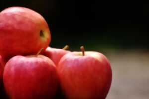 photo Fête de la Pomme