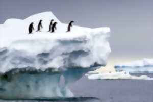 Ciné-conférence Altaïr : Antarctique