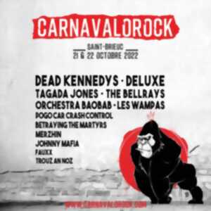 photo Festival Carnavalorock