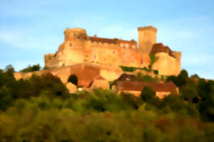 photo La Faune  Sauvage, Habitants Discrets du Château de Castelnau