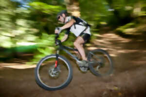 photo La Padiracoise : Course Pédestre et VTT