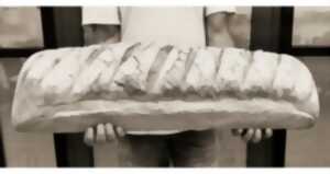 photo Lancement des festivités du 25ème anniversaire