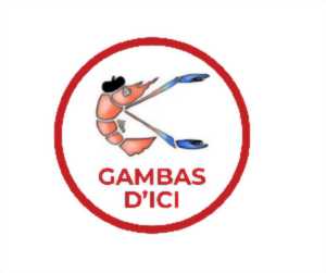 photo VENTE DES GAMBAS D'ICI