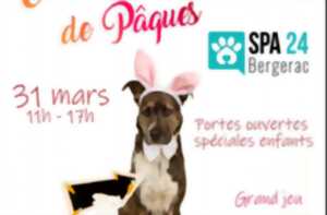 Noël des animaux | S.P.A de Bergerac