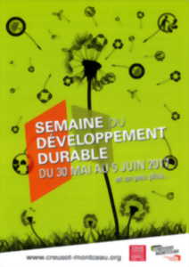 Projection du film 