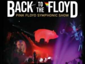 photo BACK TO THE FLOYD