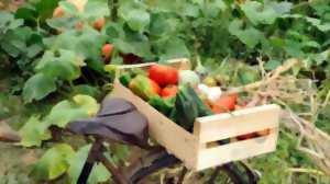 photo Marché traditionnel