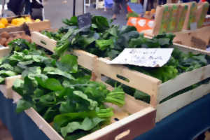 photo Marché de Quintaou