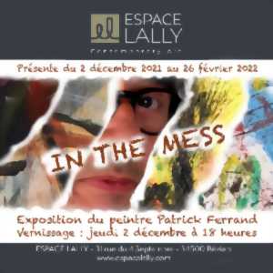 photo EXPOSITION DE PATRICK FERRAND