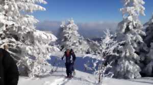 photo Raquettes la traversée des Hautes Chaumes