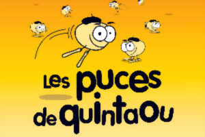 photo Les Puces de Quintaou