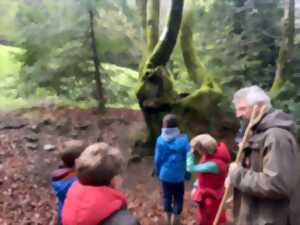photo A l'assaut du Moussu ! Visite de la forêt du Beuvray réservée aux enfants.