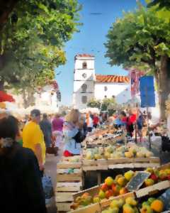 photo Marché alimentaire - Centre-ville