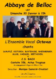 photo Chants : l'ensemble vocal Octavus