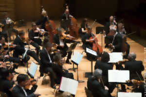 photo Concert de l'orchestre de Picardie