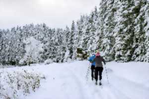 photo SORTIE SKI DE RANDO