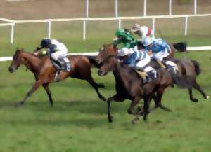 photo Courses - Hippodrome de La Teste de Buch