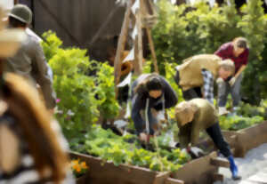 Atelier Jardin Partagé des 4 Saisons