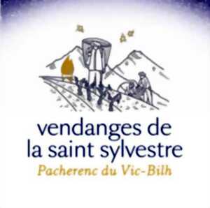 photo VENDANGES ET RÉVEILLON DU PACHERENC DE LA SAINT-SYLVESTRE