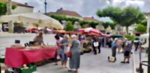 photo MARCHÉ TRADITIONNEL DU VENDREDI  - VIC FEZENSAC