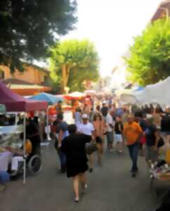 photo MARCHÉ TRADITIONNEL LE MERCREDI MATIN A BARBOTAN LES THERMES