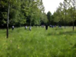 photo Initiation au bushcraft