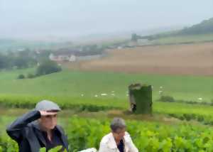 photo Fascinant week-end Vignobles & Découvertes : Balade ludique dans les vignes au Champagne Moutaux