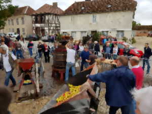 photo Fête de la pomme