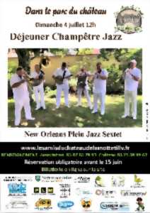 photo Château de la Motte Tilly - déjeuner champêtre jazz