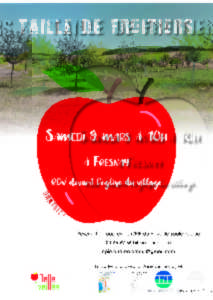 photo Taille de Fruitiers