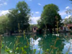 photo Visite guidée : Bar-sur-Seine, la surprenante
