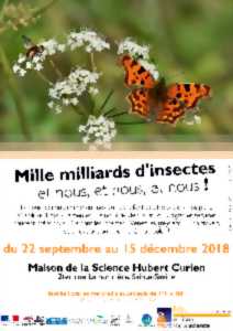 photo Samedi découverte - 