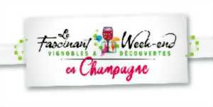 photo Fascinant Week-End V&D : Les Entretiens Culturels de Champagne - Entretiens et Pique-Nique Chic