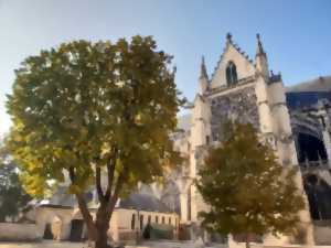 photo Les Journées du Patrimoine - Cathédrale de Troyes