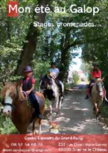 photo Promenade à Poney et cheval