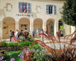 photo Visite guidée : Le Circuit de la Paume