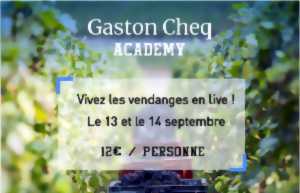 photo Vivez les vendanges en live au Champagne Gaston Cheq