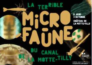 photo Exposition - La terrible microfaune du canal de la Motte-Tilly