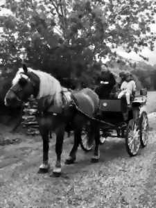 photo Visite commentée en calèche - Racontez-moi Napoléon à Brienne