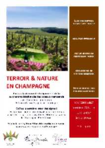 photo Terroir & Nature en Champagne au Champagne Rémy Massin