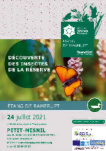 photo Découverte des Insectes de la Réserve