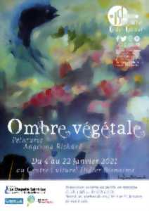 photo Exposition « Ombre végétale » d'Angélina Richard