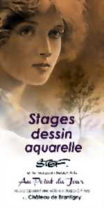 photo Les stages de STEF