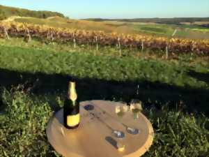 photo Sortie : les coteaux de Champagne, pétillants par nature