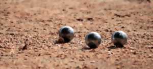 photo Concours de pétanque